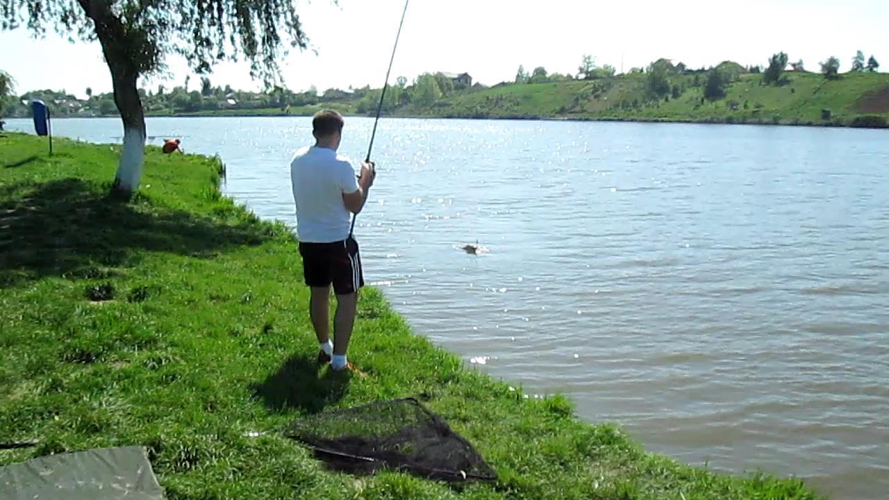 mv2 - mvi245020-45-41.JPG